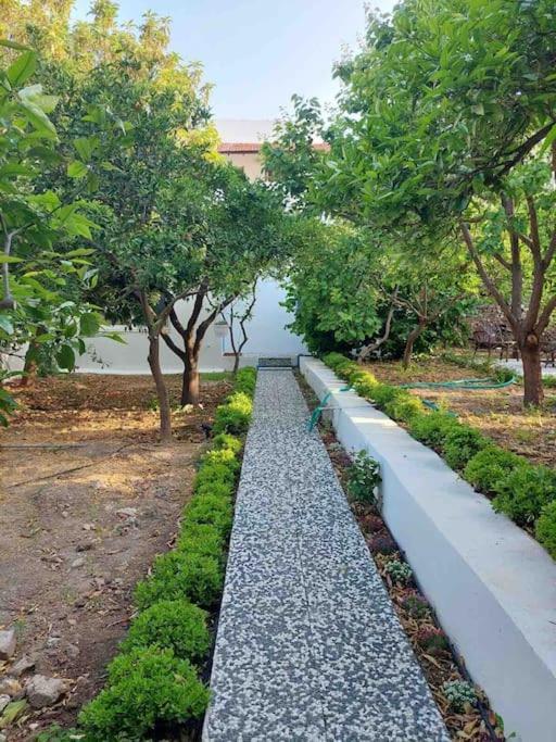 Mel'S Garden House In The Heart Of The City 博德鲁姆 外观 照片