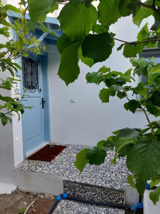 Mel'S Garden House In The Heart Of The City 博德鲁姆 外观 照片